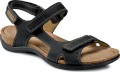 Black Oiled