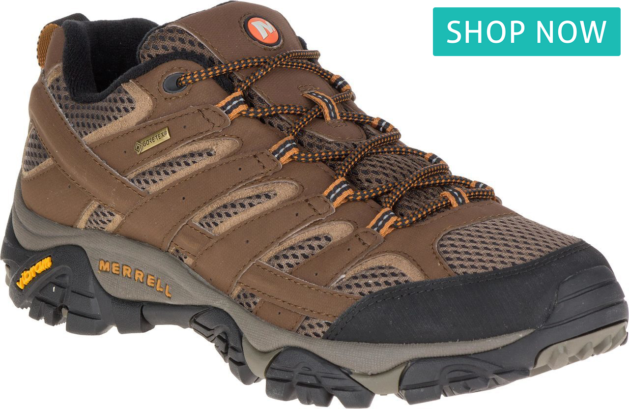 Merrell Men's MOAB 2 GORE-TEX in Earth Merrell Men's MOAB 2 GORE-TEX in Earth